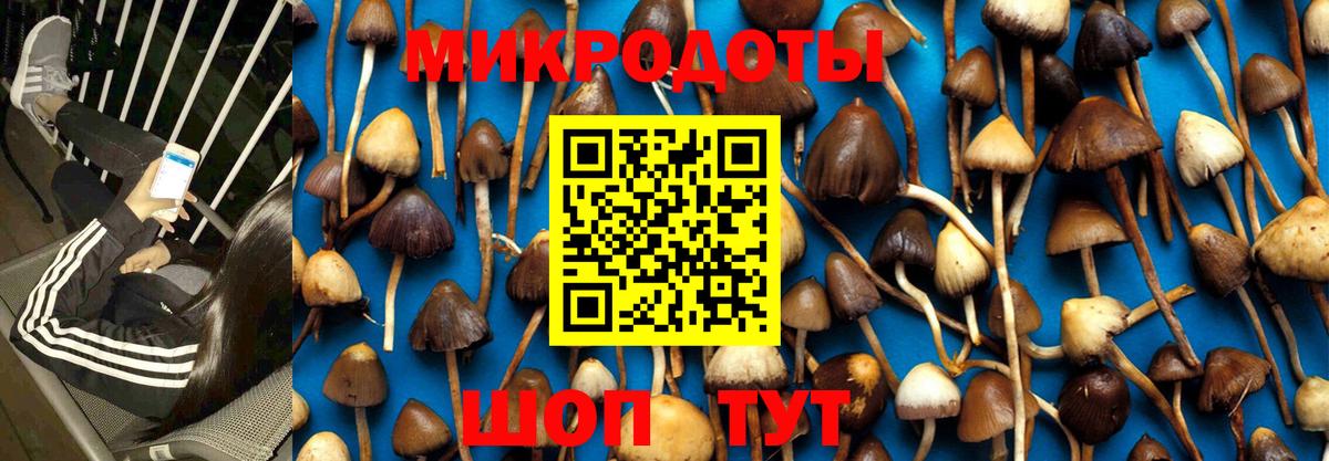 магазин  наркотиков  Вход с VPN  Миллерово  Галлюциногенные грибы Magic Shrooms 